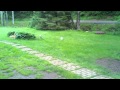 303 rifle vs. water jug
