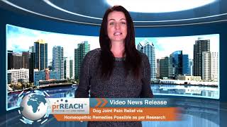 Dog Joint Pain Relief via Homeopathic Remedies Possible as per Research