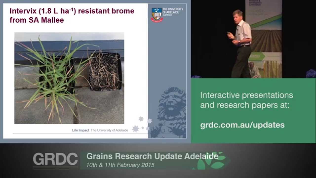 Grains Research Updates 2015 Adelaide Incrop herbicide