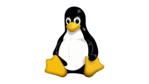 year of the linux desktop