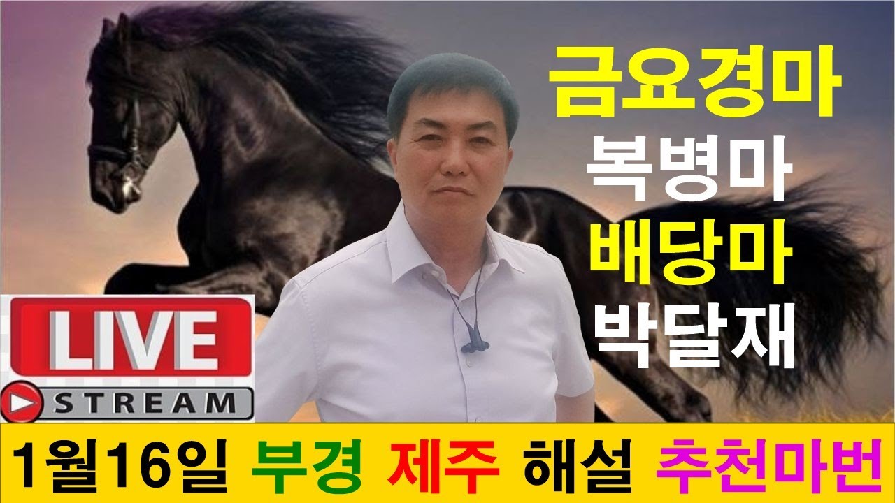 1월16일 금요경마 경마예상 추천마번 복병마 배당마 온종일 라이브 방송 서울경마 부경경마 경주분석 추천마번 예상방송 박달재