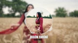 Rojin Tarini Gula Min