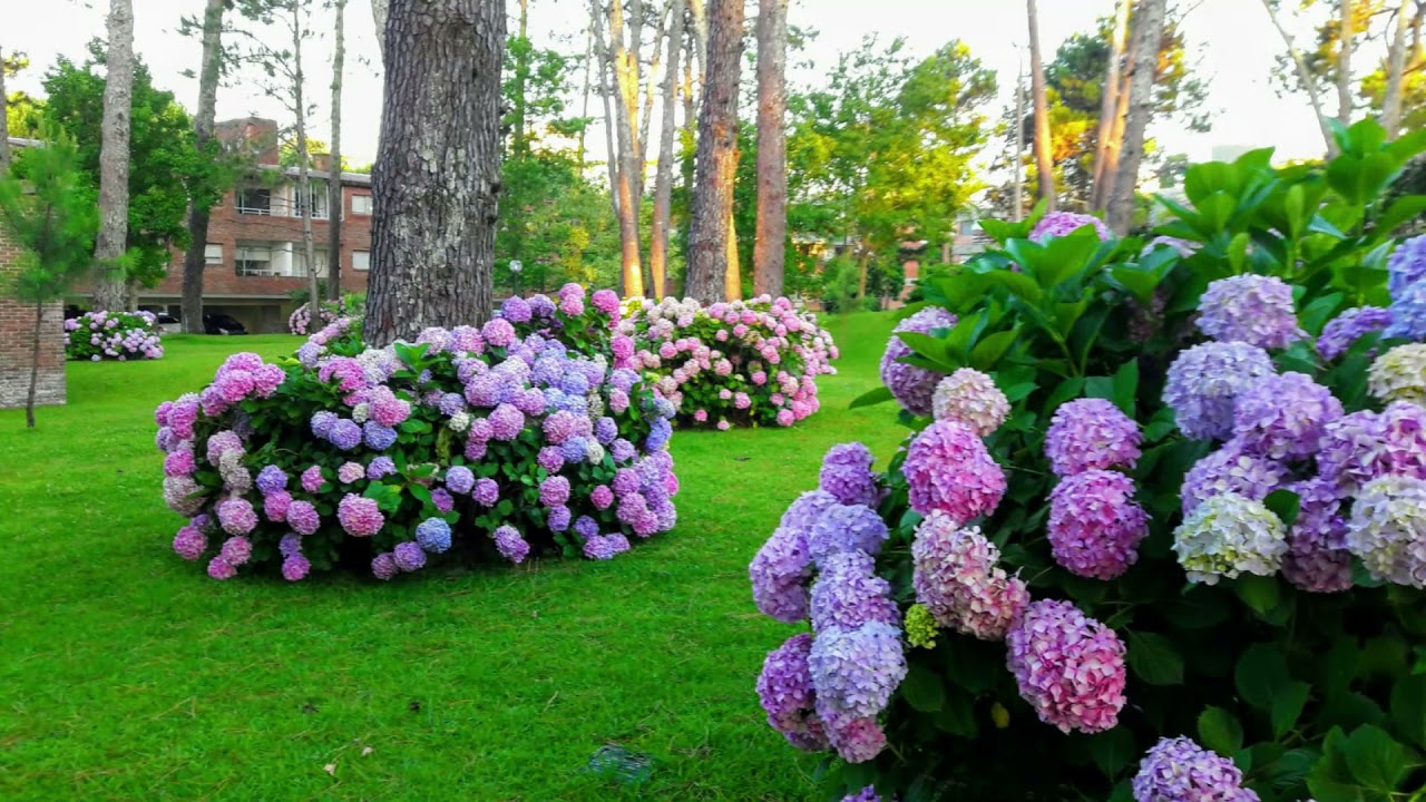 COMPLEJO ARCOBALENO - PUNTA DEL ESTE