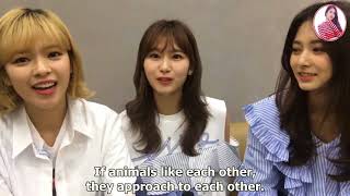 180402 [TWICE] How to confess love by Kim Sana [ENGSUB] screenshot 3