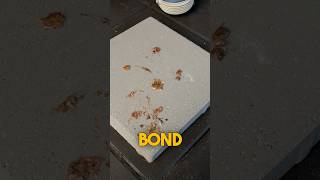 The Surprising Reason Why Tree Sap Bonds So Well with Concrete
The Surprising Reason Why Tree Sap Bonds So Well with Concrete The Surprising Reason Why Tree Sap Bonds So Well with Concrete