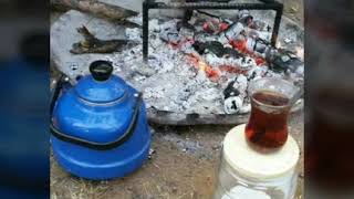 Keşke Gelmeseydi̇m Yalan Dünya Ya