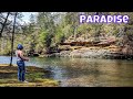 Ccc pickett state park in our teardrop camper  explore tennessee