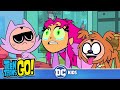 Kitties & Doggies | Teen Titans Go! | @dckids