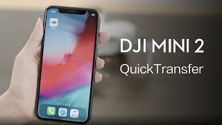 DJI Mini 2 | How to Use QuickTransfer Mode