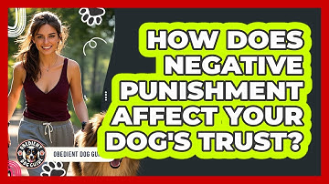 How Does Negative Punishment Affect Your Dog