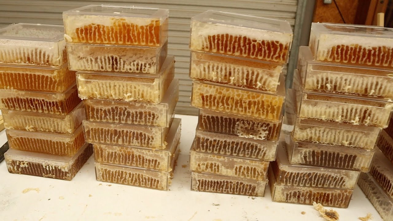 Такого меда вы еще не видели!