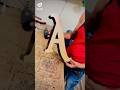 3D Acrylic Letter Sign Fabrication Process 🔥