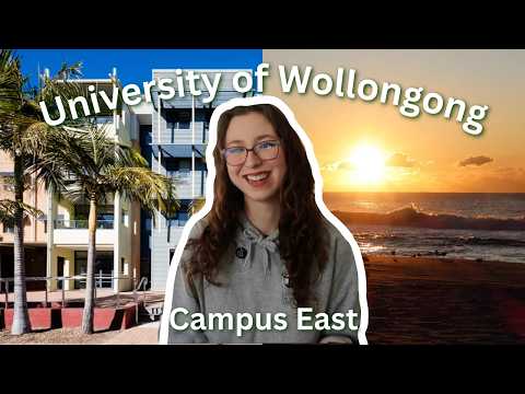 Wollongong: Your Daily Digest