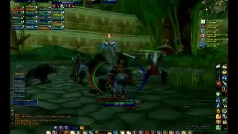 Champions first Zul Gurub run.