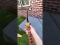 What Size Sword Do You Want Survival Skills: SIMPLE and USEFUL #shortsvideo #shorts #short #games