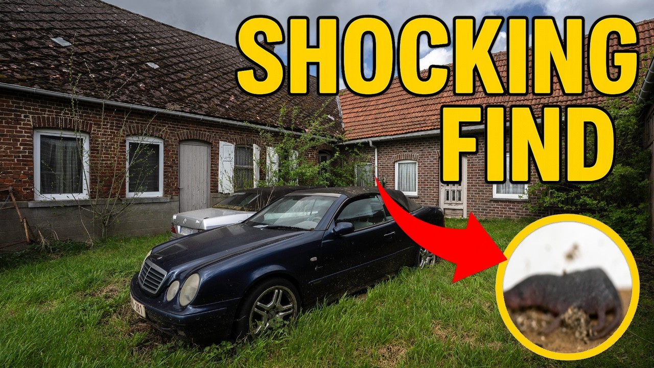 Что-то еще живо в этом ЗАБРОШЕННОМ доме!