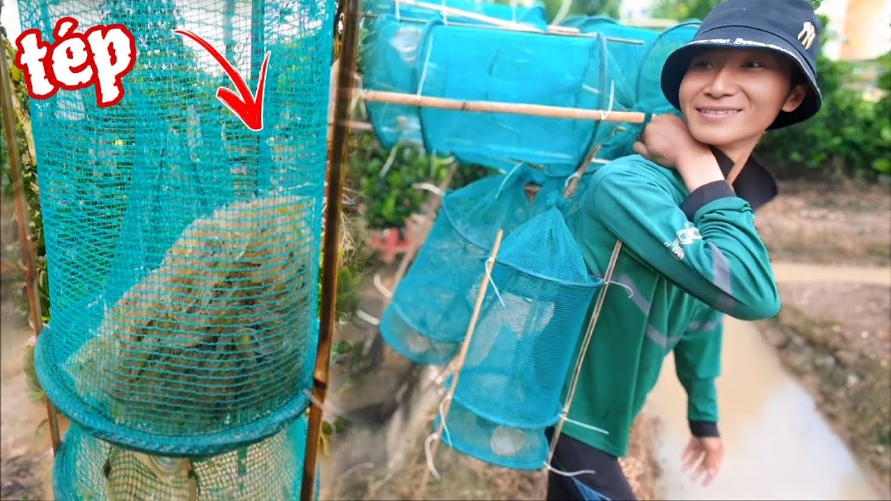 Ở Đâu Có Tép Đặt Cái Này Xuống Là Dính Hết Luôn Công Nhận Loại Lợp Này Cặt Hiệu Quả Thiệt