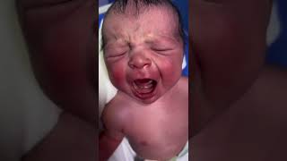 Just delevery New bron baby👶#cutebaby #adoreble #baby #adorably #cute #littleone #little #shorts