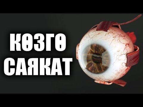 Video: Иттердеги көздүн жаракат алуусу