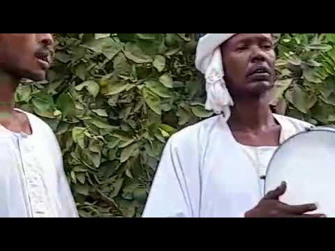 النايرات خدودو معاز ومحمود قدوره والطيب رحله الباوقه