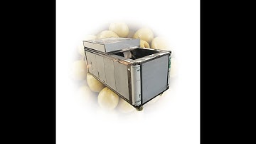 Dates Pitting Machine/Cherry Pitter/ Olive Pitting Machine