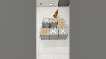 고양이 틱택토 게임!! 과연 승자는..?