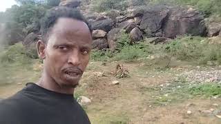 Oromiyaa garaa dirree dhawati kun Mal fakkata