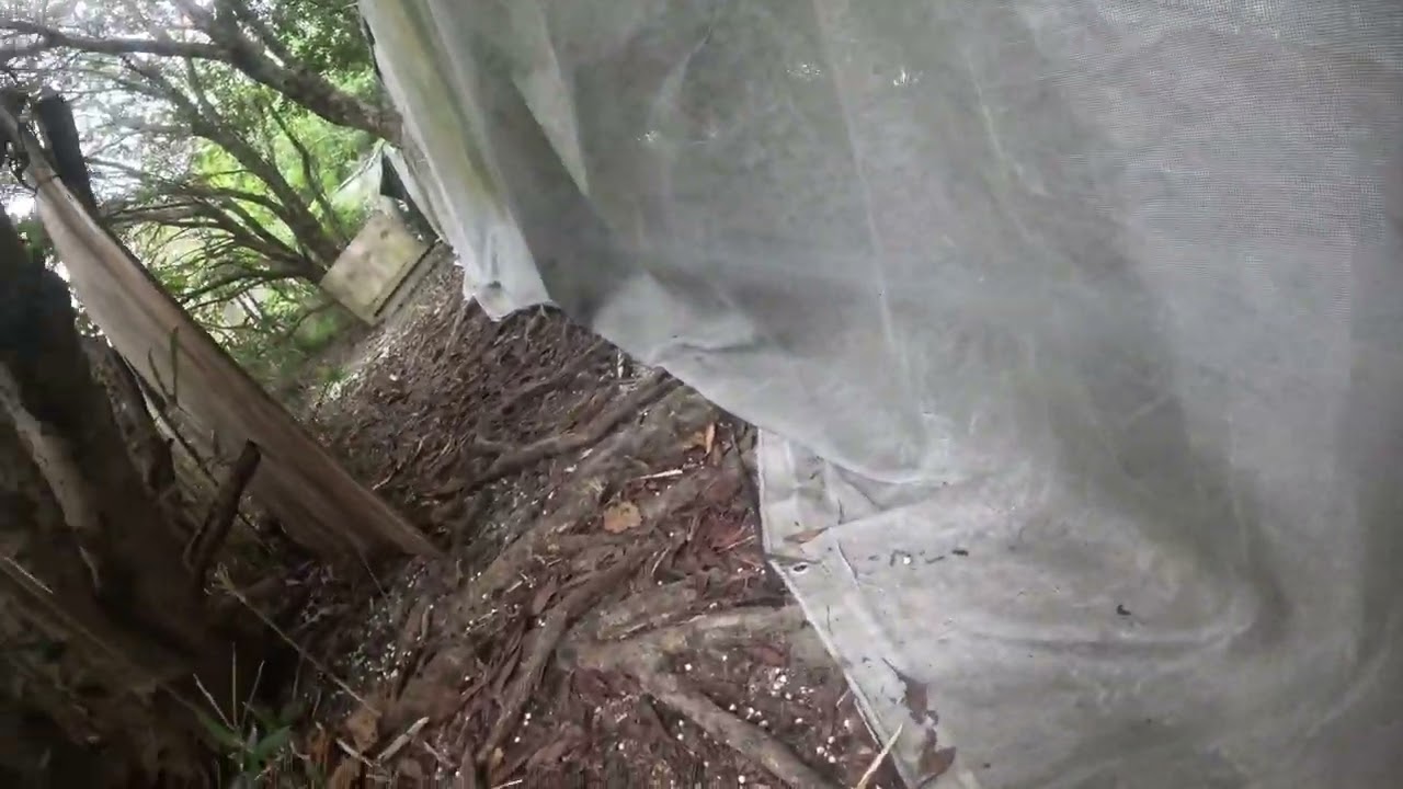 オペレーションフィールド