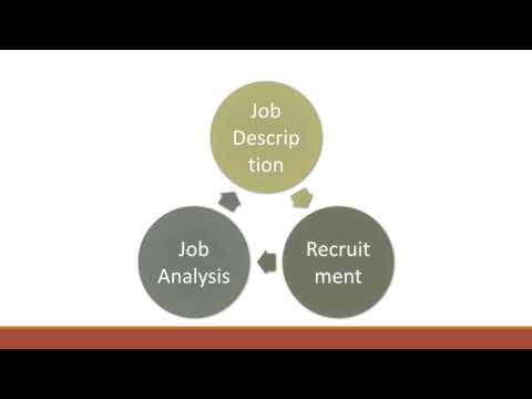 20CL1 Human Resource