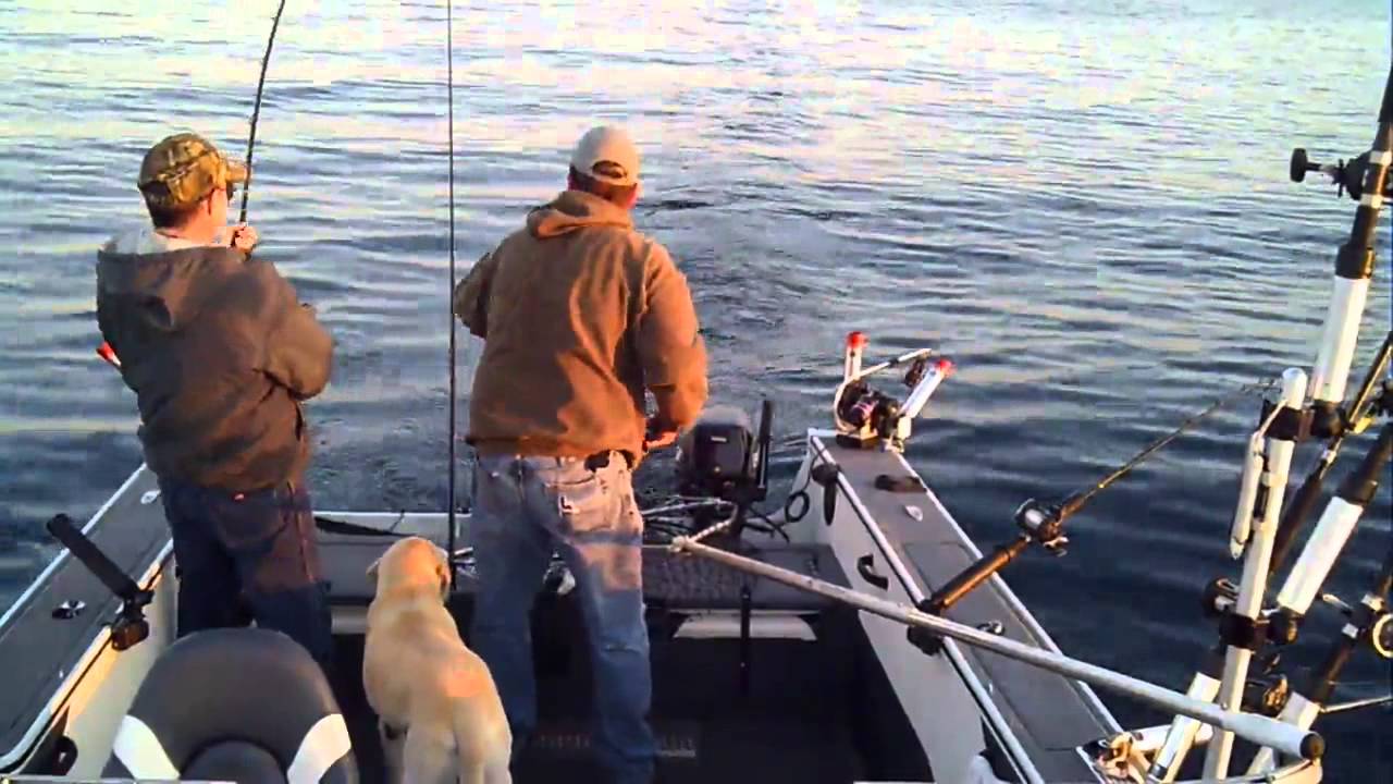 Sturgeon Bay Salmon Fishing YouTube