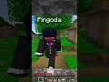 MAI FIDARSI DI UN PINGUINO