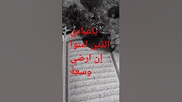 كل نفس ذائقة الموت سورة العنكبوت الآية (٥٦)