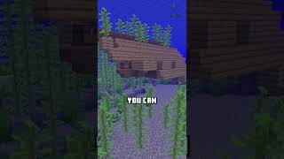 Minecraft tips you may not know 13! #minecraft #minecraftbeauty #minecraftadventure #viral