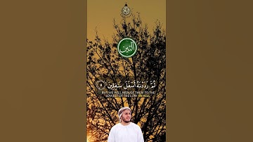 سورة التين مكتوبة بصوت القارئ علاء عقل #قران_كريم #اكسبلور #اكسبلور  #راحة_نفسية