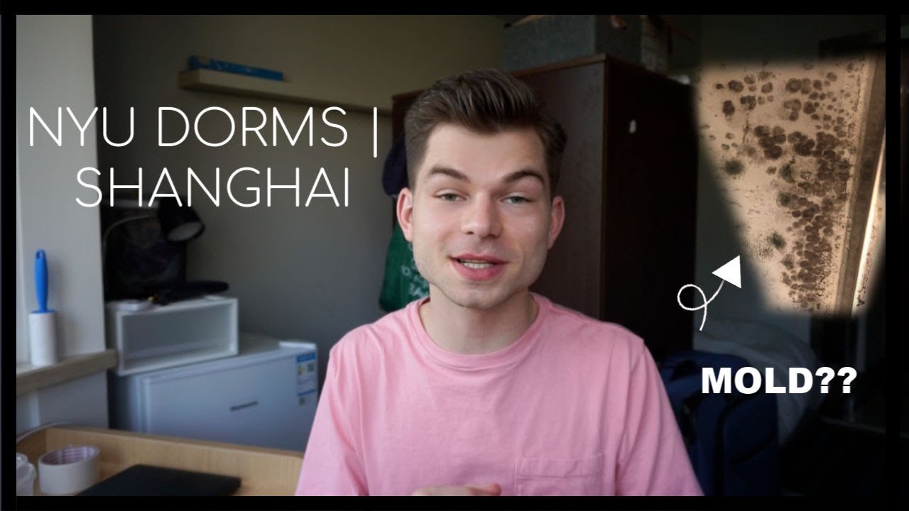 THE TRUTH ABOUT NYU'S DORMS IN CHINA | NYU SHANGHAI