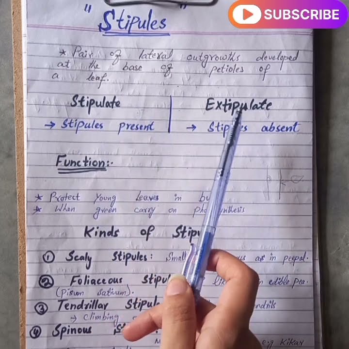 difference between stipulate and exstipulate leaves #biology #botany # ...