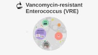 Vancomycin Resistant Enterococcus