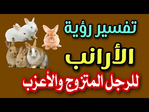 تفسير رؤية الأرانب للرجل المتزوج والاعزب فى المنام لابن سيرين