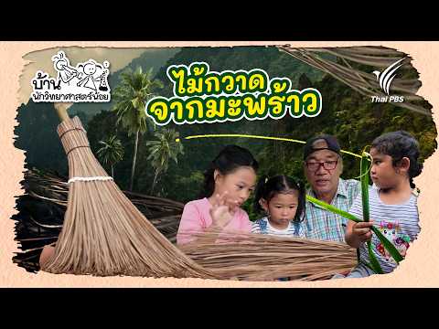 ไม้กวาดจากมะพร้าว | บ้านนักวิทยาศาสตร์น้อย