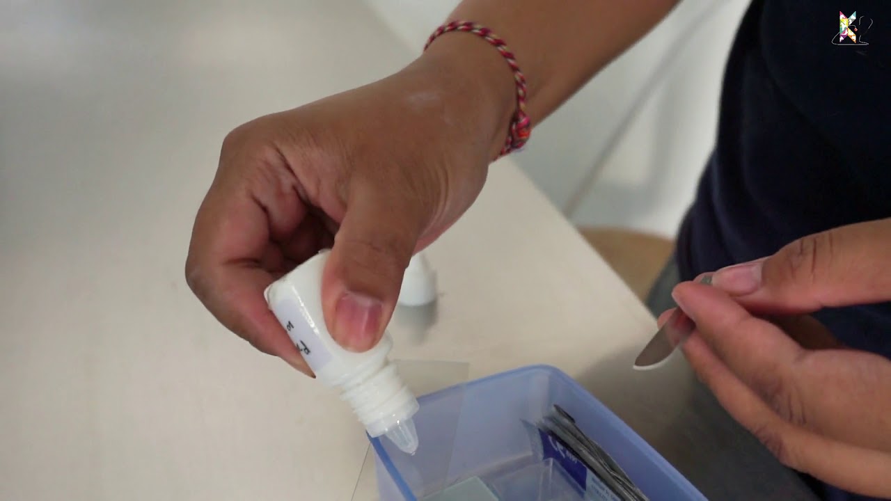 Skin Scraping test! Untuk melihat makhluk kecil tak kasat mata yang