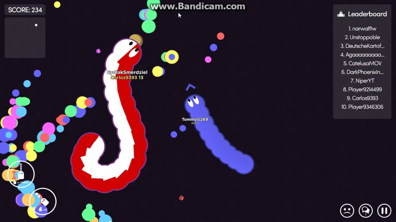 Random Worm Random Gameplay #2:Worm.is - YouTube
