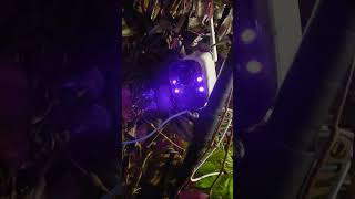 ZUMIMALL 2K Solar Security Cameras Wireless Outdoor, No Wiring, Front Door, Yard & Garage