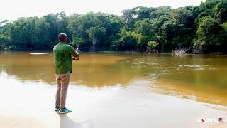 Peacock Bass Fishing With Guerrero Topwater Lure