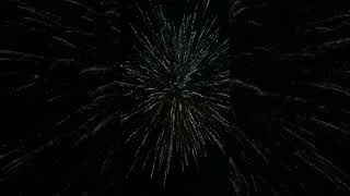 Happy New Year 2023 Salyut