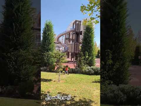 يومياات تيموو لساتيم ماخلص مغامرات وركض عكيفو بيمشي 