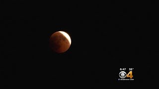 Watch Parties For Super Wolf Blood Moon Planned In Colorado