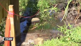 Homeowner blames new construction for backyard flooding
