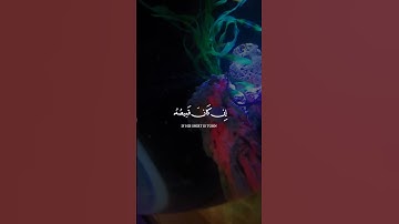تلاوة عطرة لآيات من كتاب الله #القرآن_الكريم #الله #اكسبلور #راحة_نفسية #viral #fyp#