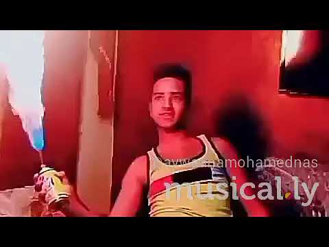 اسود وماشية في الغابه طالعين ياناااس من امبابة