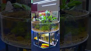 Sera Showtank Interzoo 2026